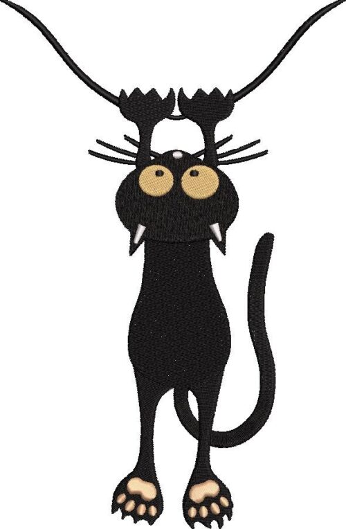 00071-Cat-large