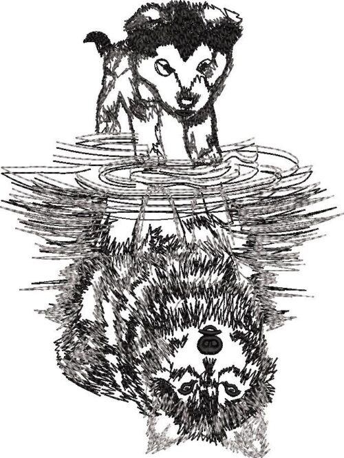 00125-Dog-Reflection-of-Wolf-In-Water-10-x-10