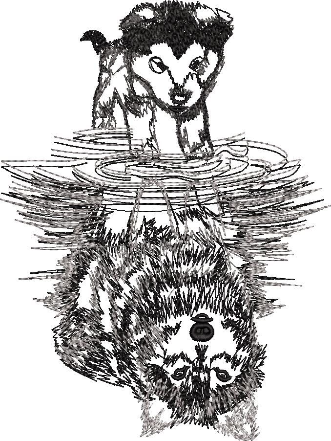 00125-Dog-Reflection-of-Wolf-In-Water-10-x-10