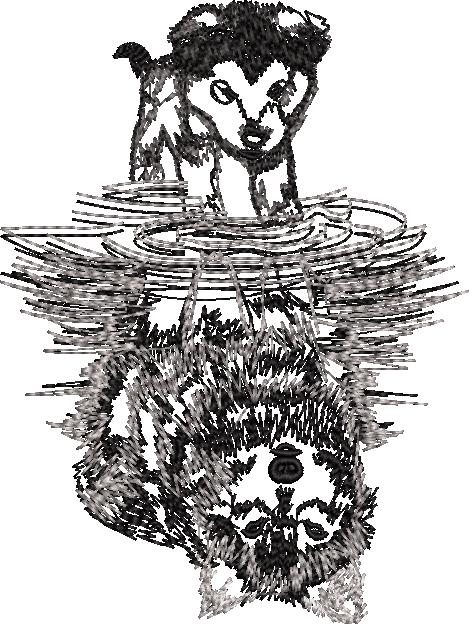 00125-Dog-Reflection-of-Wolf-In-Water-5x7