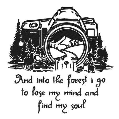 And-Into-The-Forest