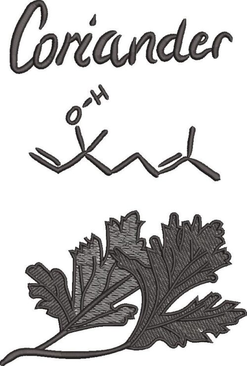 FE01068-Coriander-Bond--10X10