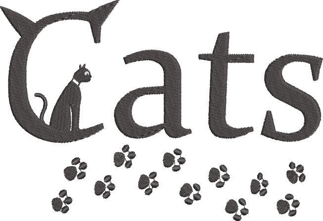 FE01292--Cat----Paws-5-x7