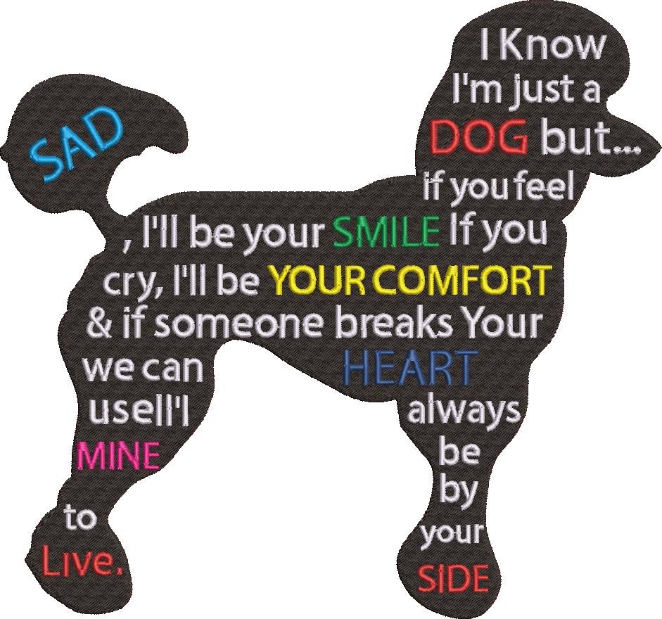 FE01528-Standard-Poodle-10X10