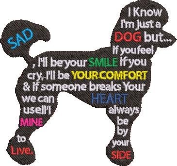 FE01528-Standard-Poodle--4X4