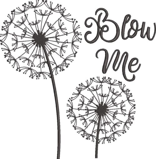 FE01559-Blow-Me--10X10