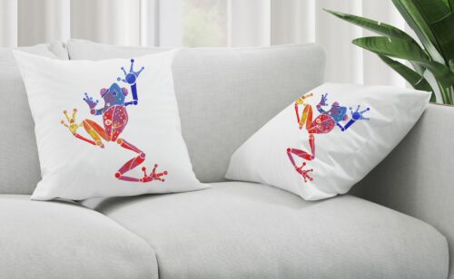 FE01589-Colourful-Frog
