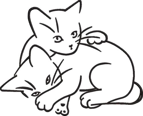 FR0078-Staring-Cats--large