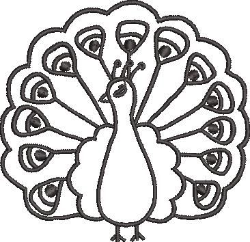 FR0117-Cute-Peacock--4X4