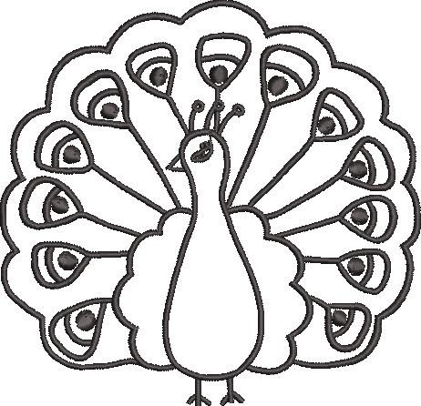 FR0117-Cute-Peacock-5x5