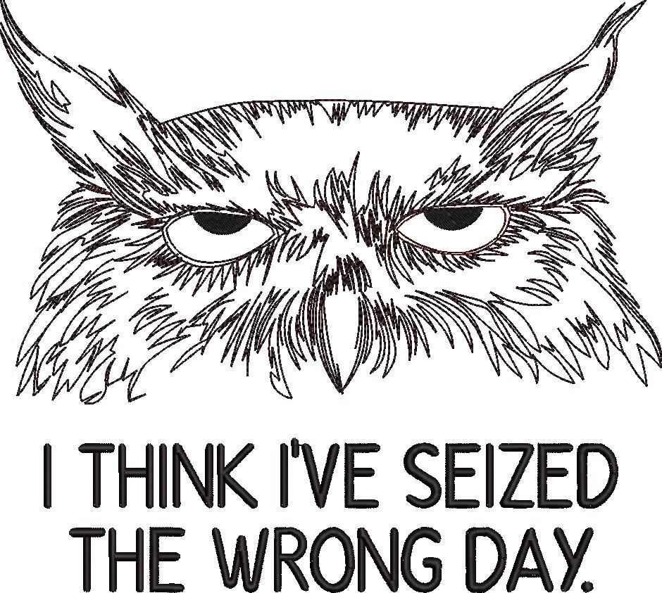FE20879-Seized-the-Wrong-day-Grumpy-Owl-large-1