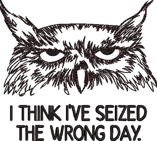 FE20879-Seized-the-Wrong-day-Grumpy-Owl-medium-1