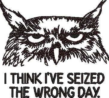 FE20879-Seized-the-Wrong-day-Grumpy-Owl-small-1