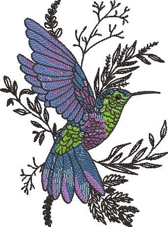 FE20939-Flying-Hummingbird--5X5
