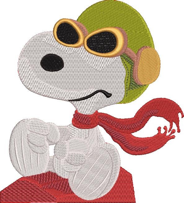FE02575-Nosey-Dog-With-Red-Barron-medium