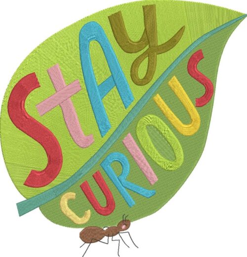 FE02656-Stay-Curious-Large