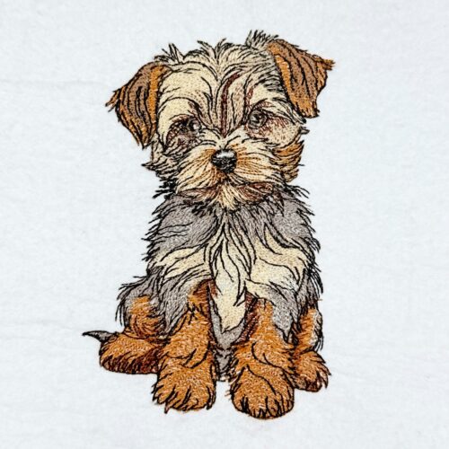 Brown-Dog