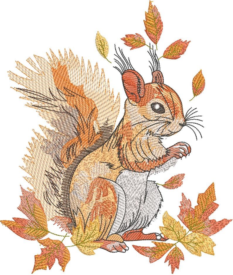 FE03021-Squirrel-In-Autumn-Large