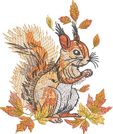 FE03021-Squirrel-In-Autumn-Medium