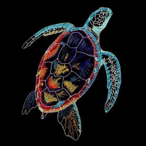 VP2MA28-Turtle2