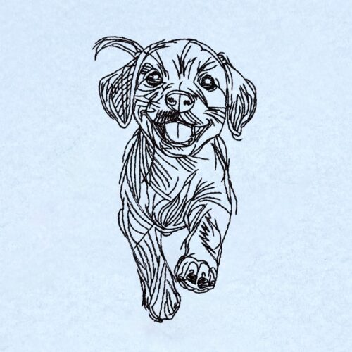 FE03352-Dog3
