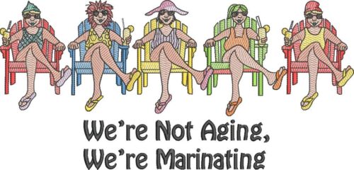 FE03368-We-re-Not-Aging-Funny-Ladies-12x12