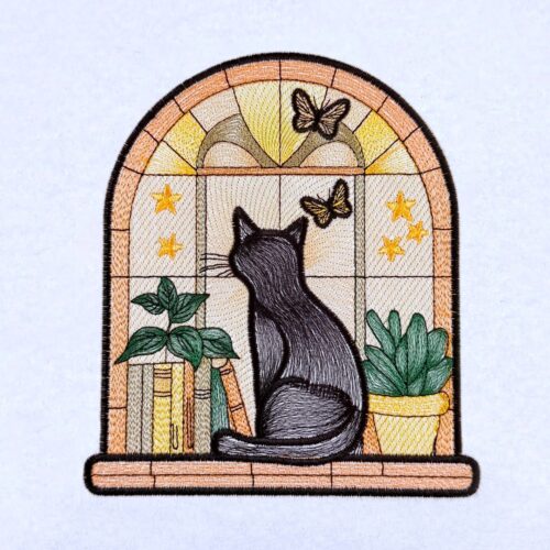 VP3AP03-Cat-and-Books