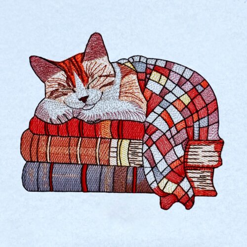 VP3AP21-Cat-on-Books