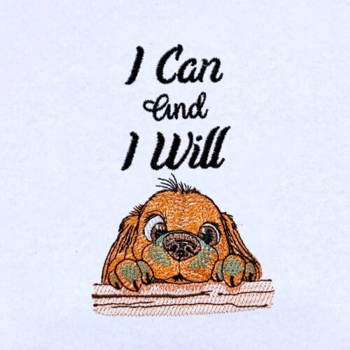 FE03393-I-Can---I-Will