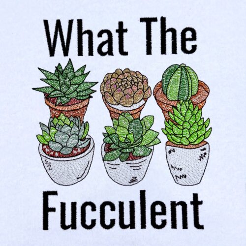 FE03428-What-Fucculent