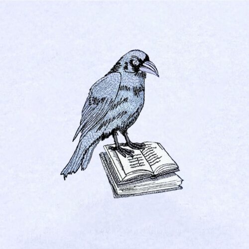 FE04035-01---Raven-With-Book