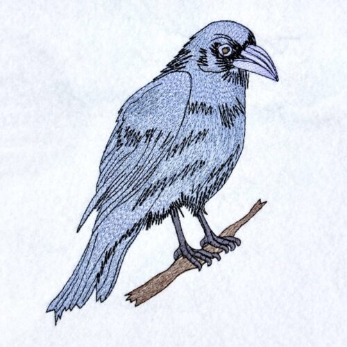 FE04035-02---Black-Raven