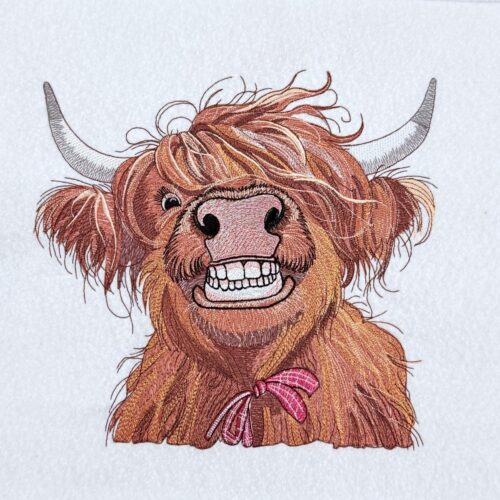 Funny-Highland-Cow