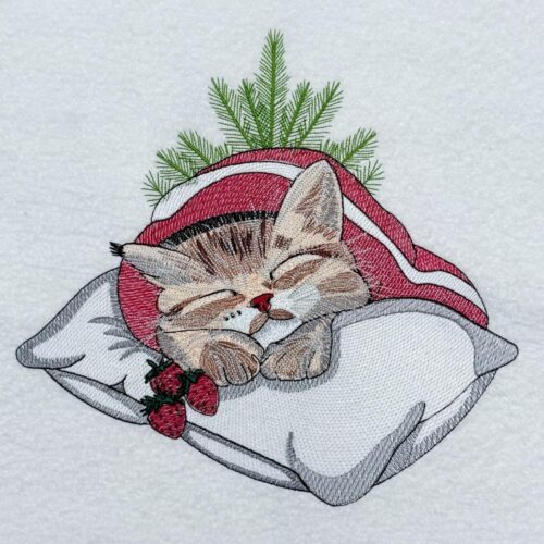 Winter-Sleepy-Kitten