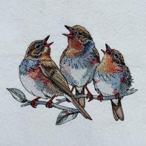 Chirping-Birds-On-Branch