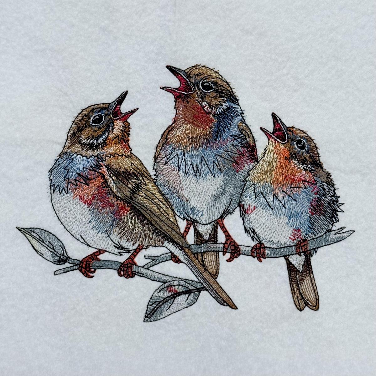 Chirping-Birds-On-Branch