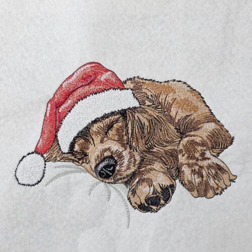 Cozy-Christmas-Dog