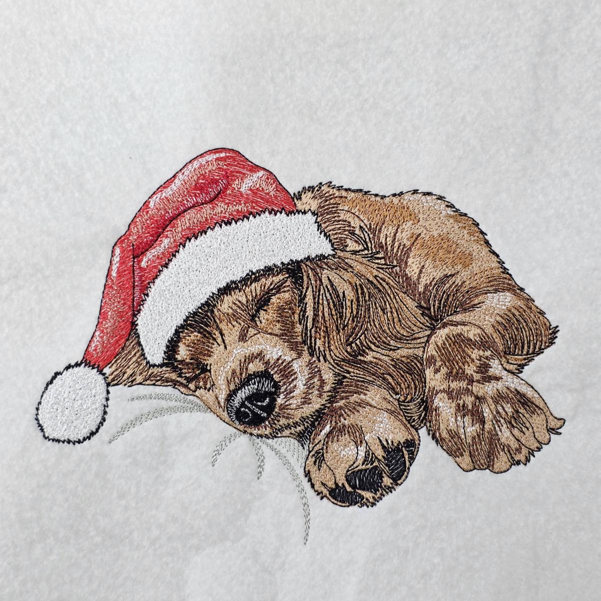 Cozy-Christmas-Dog