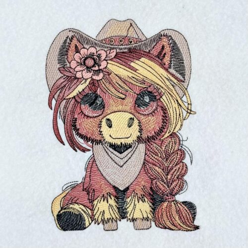 Cute-Cowgirl-Pony