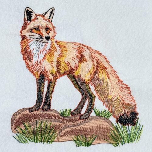 Fox-On-Rocks