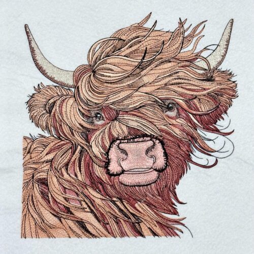 Shaggy-Highland-Cow-Face