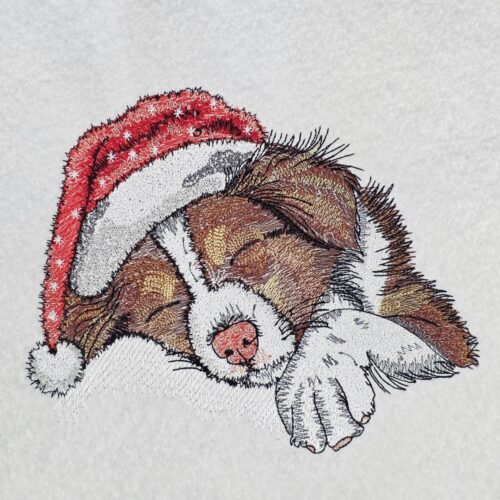 Sleepy-Australian-Shepherd