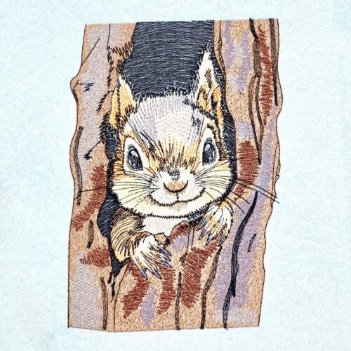cute-squirrel-peeking-from-tree