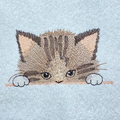 peeking-cat-face