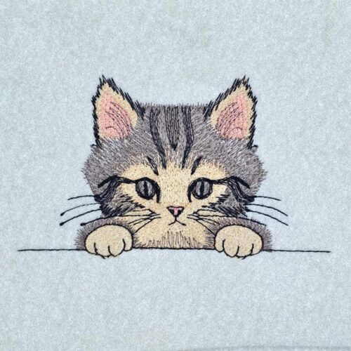 peeking-cat-face-straight-view