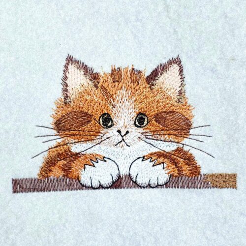 peeking-cat-rounded-face