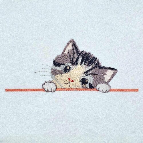 peeking-cat-tilted-head
