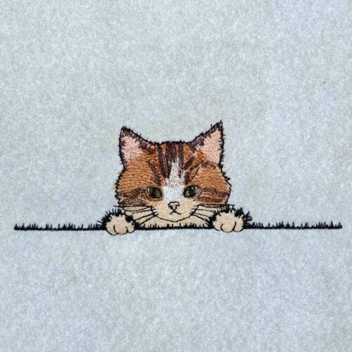 playful-peeking-cat-face