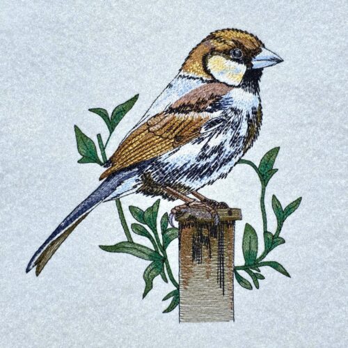 sparrow-on-branch