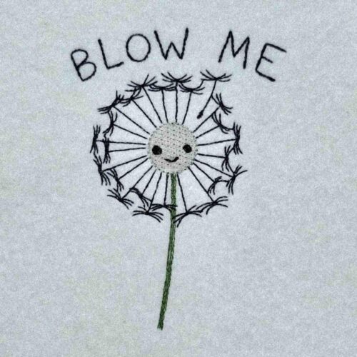 blow-me-funny-pun